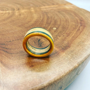 Recycled skateboard rings